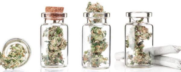 fleurs de CBD